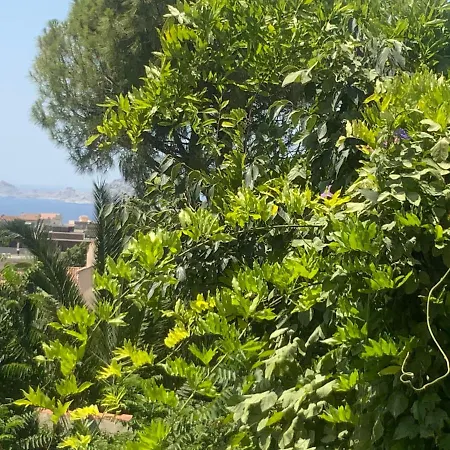 Apartment C'est La Qu'il Faut Venir Cet Ete